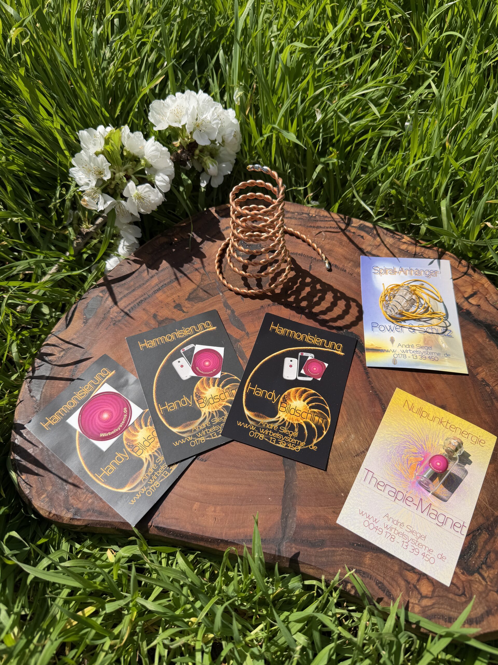 Starter-Sets – Bild 2